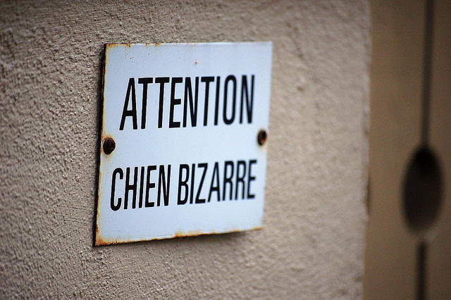 Best language blogs French