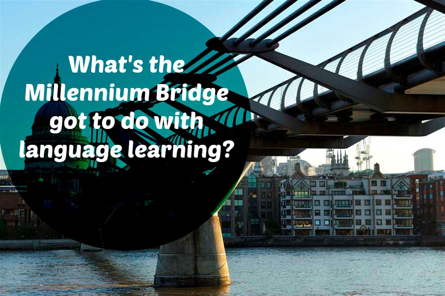 language motivation vlog